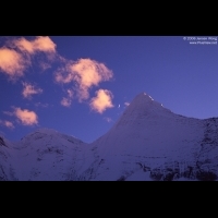 Nature & Landscape