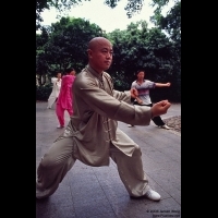 Playing Taichi, Litchi Park