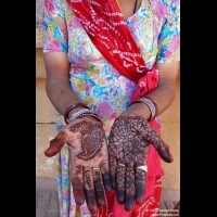 Mehndi on woman's hands, Jodhpur