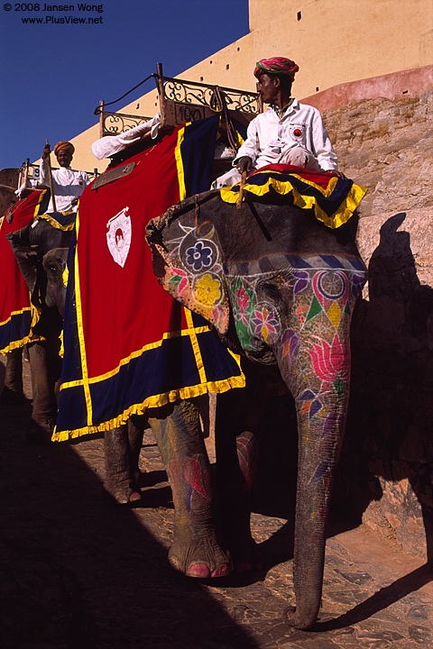 Elephant taxi, Amber Fort, Jaipur