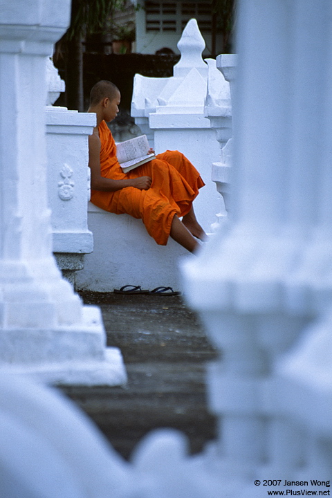 Young monk reading book