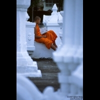 Young monk reading book