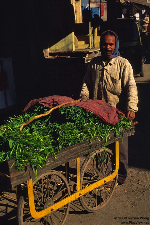 Vagetable vendor in the street, Bundi