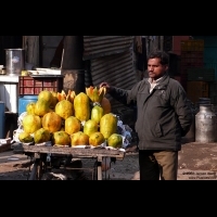 Papaya vendor, Delhi