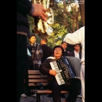 荔枝公园里拉手风琴的艺人