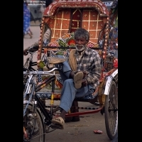 Rickshaw wallah, near Sangam, Allahabad
