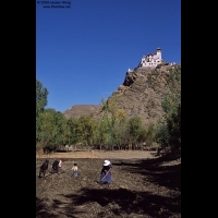 在雍布拉康脚下原“西藏第一块国王御用田”松土的村民