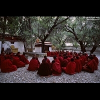 Monks in Debating Courtyard of Sera Monastery